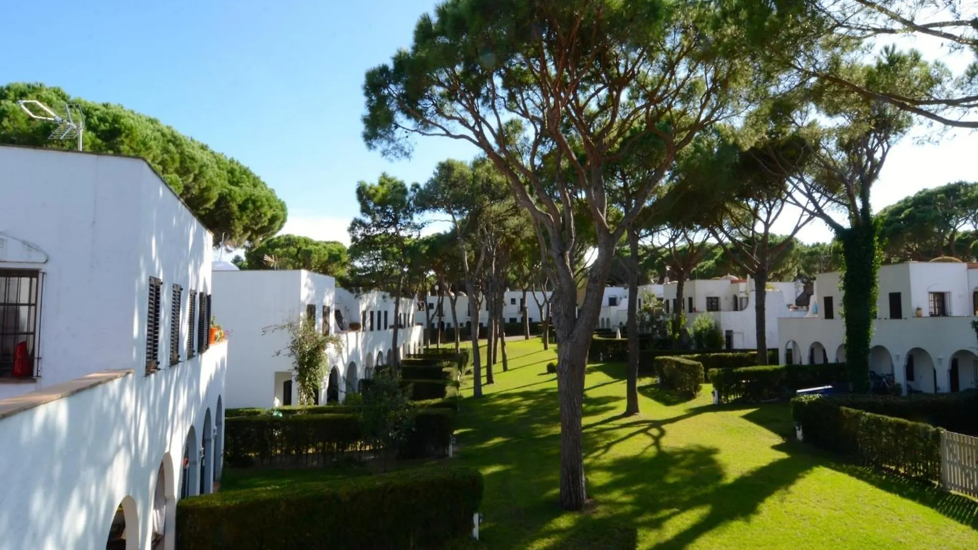 Piverd Del Golf 35 Pals Spain