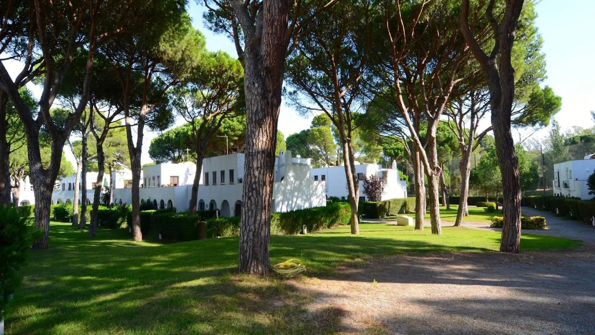 Piverd Del Golf 35 Pals Spain